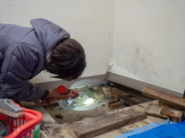 Best Mold Documentation for Insurance Claims  in Centralia, WA