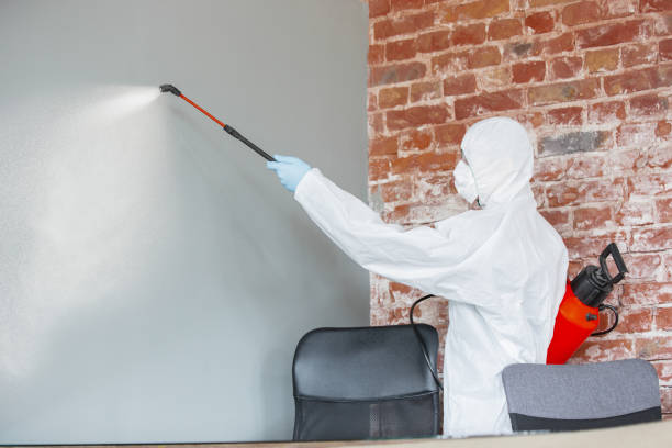 Best Post-Remediation Verification Testing  in Centralia, WA