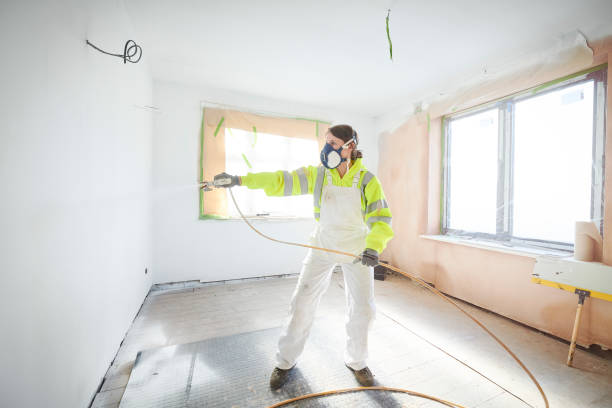 Best Basement Mold Removal  in Centralia, WA
