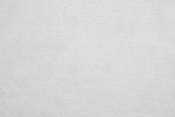 Best Mold Removal for HVAC Installations  in Centralia, WA